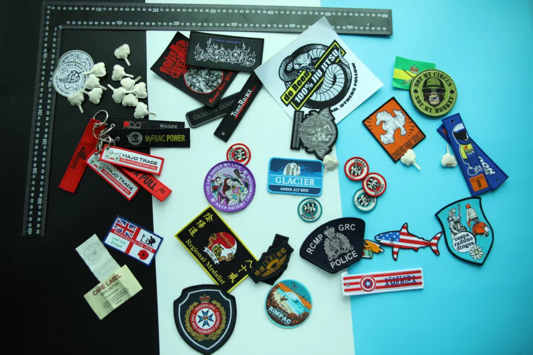 Top Quality Professional Fashion Embroidery Patch for Clothing/Cap/Shoe/Other